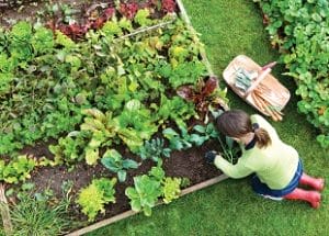 Home Gardening Courses