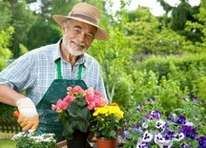 Horticultural Therapy Online Course