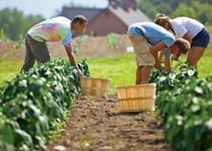 Organic Farming Online Course