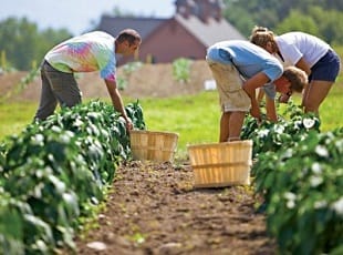 Organic Farming Online Course