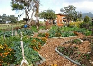 Permaculture C Animals Online Course