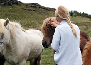 Short Course On Caring For Horses