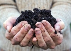 Soil Management Horticulture Online Course