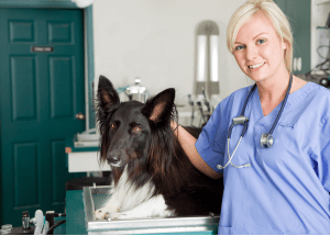 Animal Care Courses
