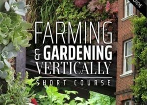 Vertical Farming Amp Gardening Short Course