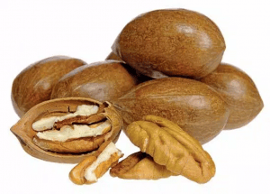 Nut Production Warm Climates Online Course