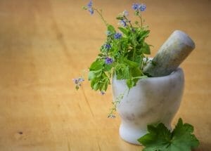 Medicinal Herbs Online Course