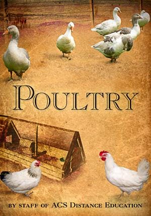 Poultry Chickens Geese Ducks Care Ebook