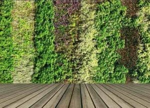 Green Walls And Roofs Online Course