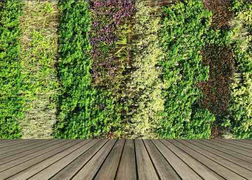 Green Walls And Roofs Online Course
