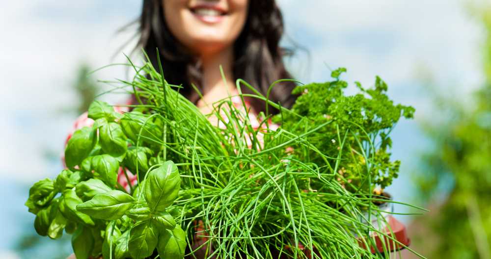 Grow herbs and more to be self sufficient.
